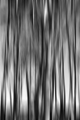  Trees on Puketutu Island